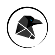 Icon primary